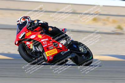 media/Jan-08-2022-SoCal Trackdays (Sat) [[1ec2777125]]/Turn 14 Outside (1050am)/